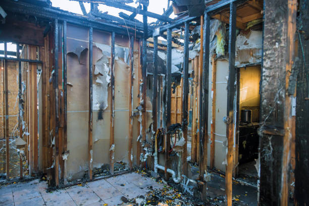 Professional Fire Damage Removal technician working in Chesapeake Beach, MD